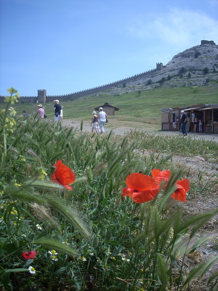 sudak16.jpg