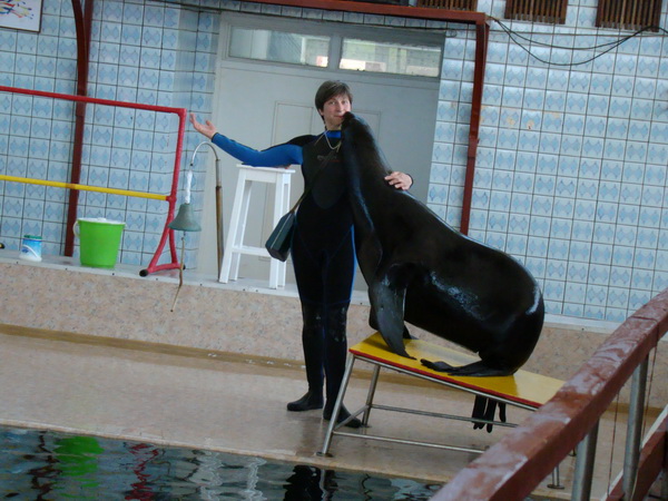 13.JPG