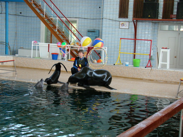 19.JPG