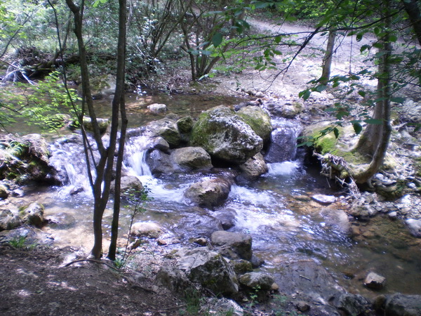 04.JPG