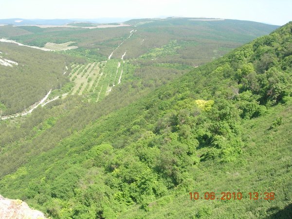 bahcha10.jpg